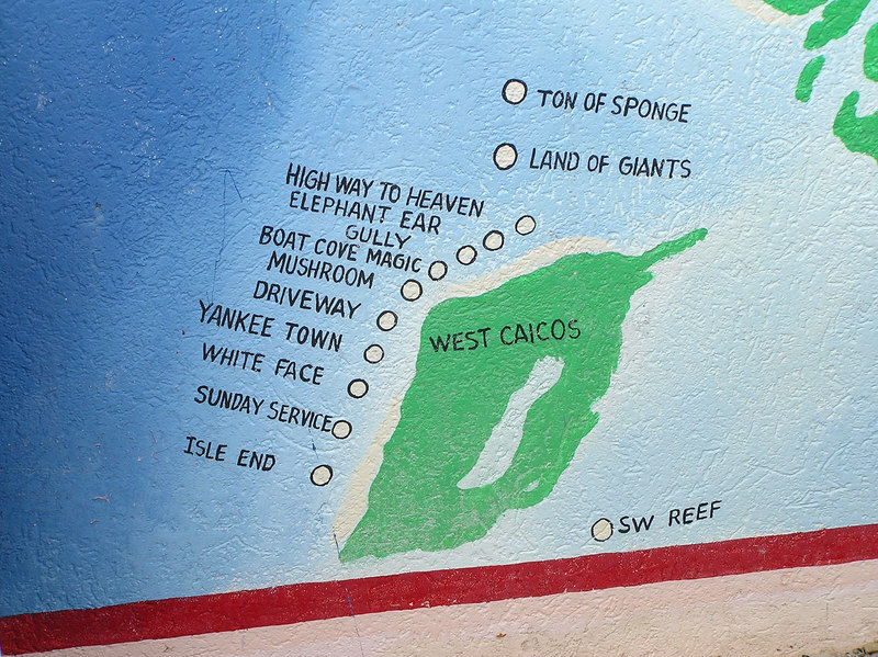 West Caicos dive sites, a twenty-minute bus transfer, plus an hour's boat ride away.�A long day.  (200k)