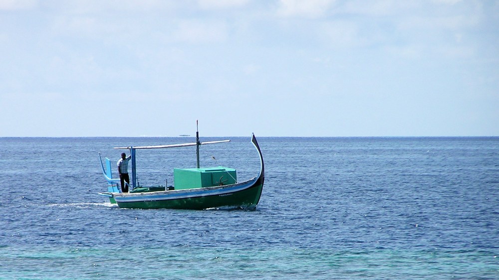 Fishing dhoni heading for the jetty.