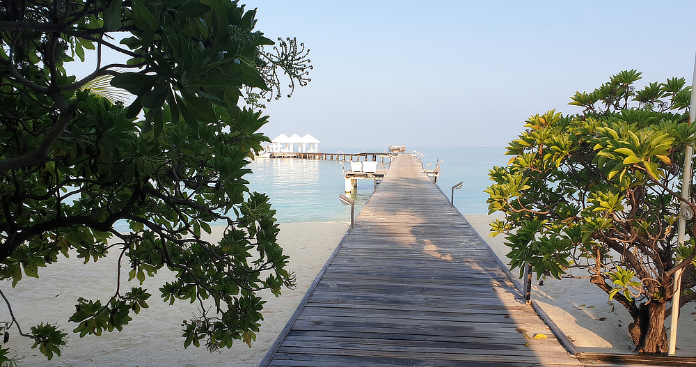  The main jetty. Everything has to come up this jetty.