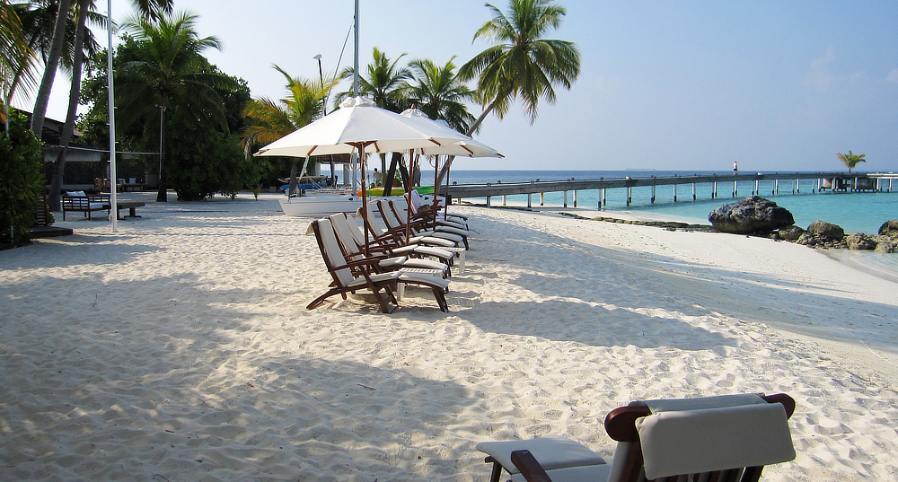 Sunbeds ideally situated next to the beach bar.